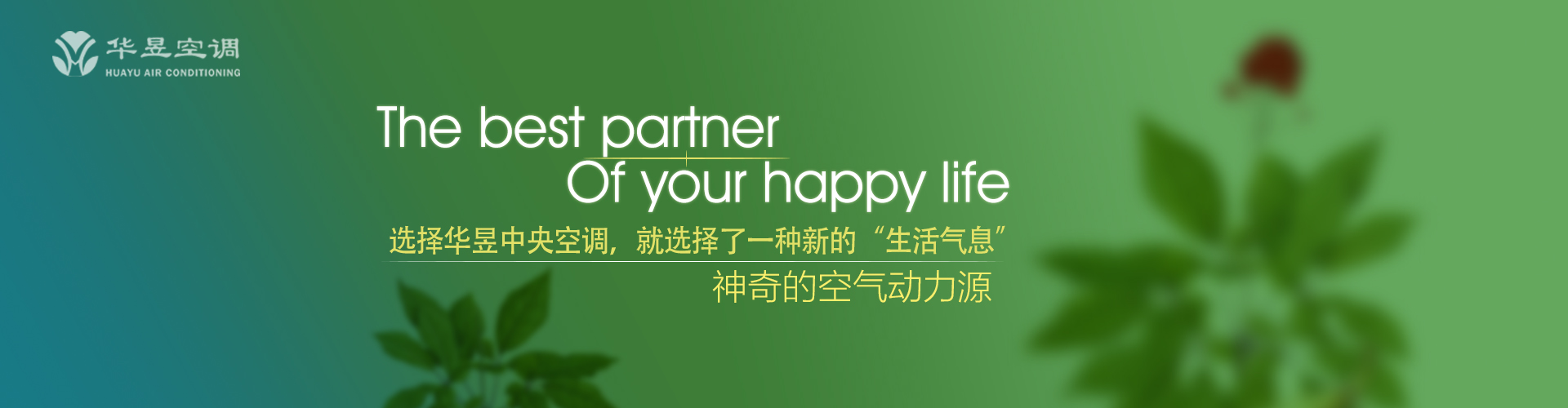 采及葑菲网